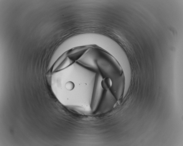 X0000114210125200911061454