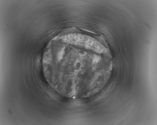 X0000114210127200911061454
