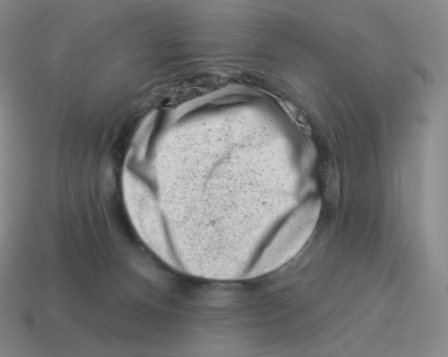 X0000114210128200911061454