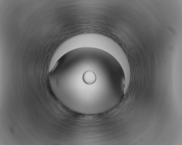 X0000114210129200911061454