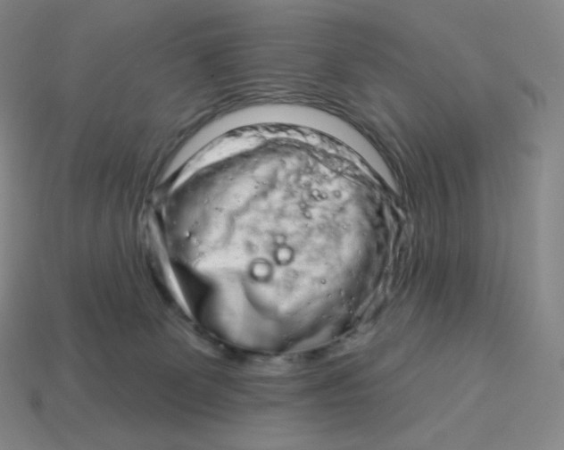 X0000114210131200911061453