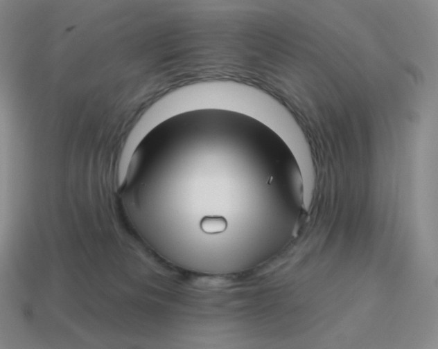 X0000114210133200911061453