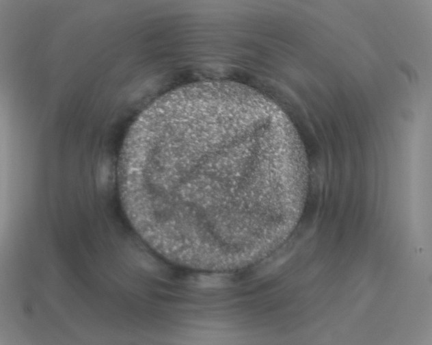 X0000114210134200911061453