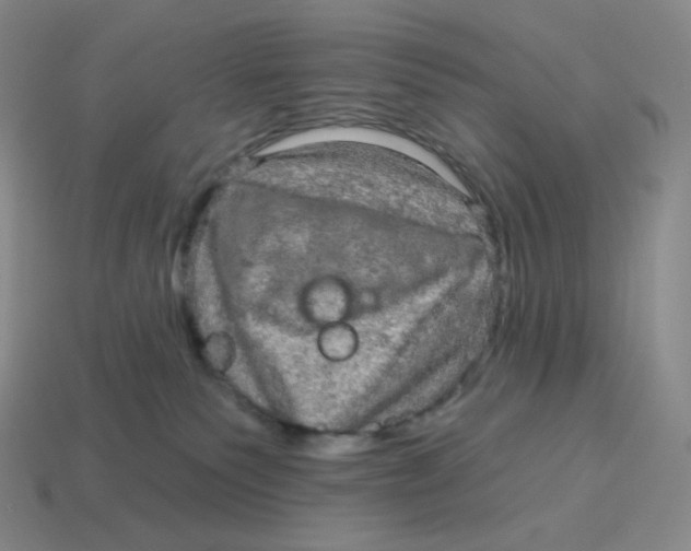 X0000114210135200911061453