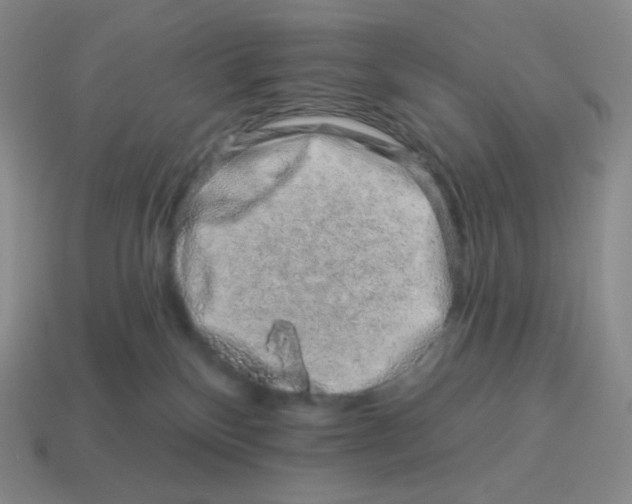 X0000114210136200911061453