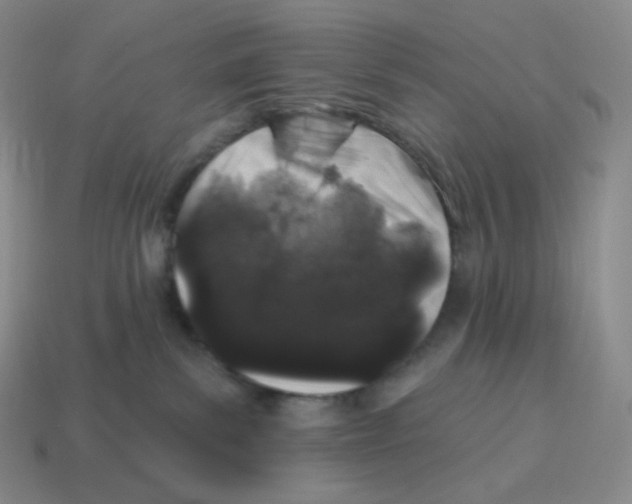 X0000114210139200911061453