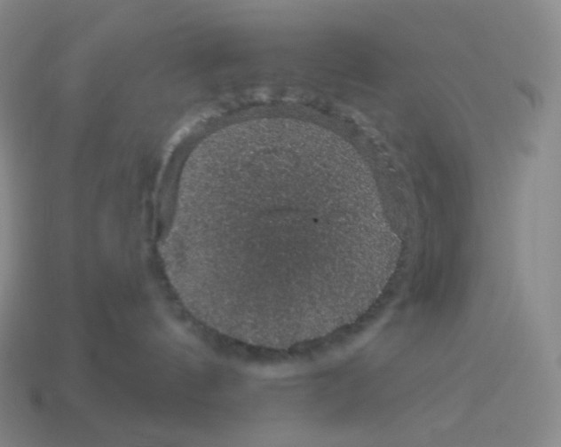 X0000114210144200911061453