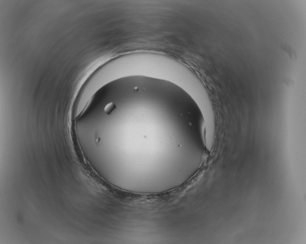X0000114210148200911061453