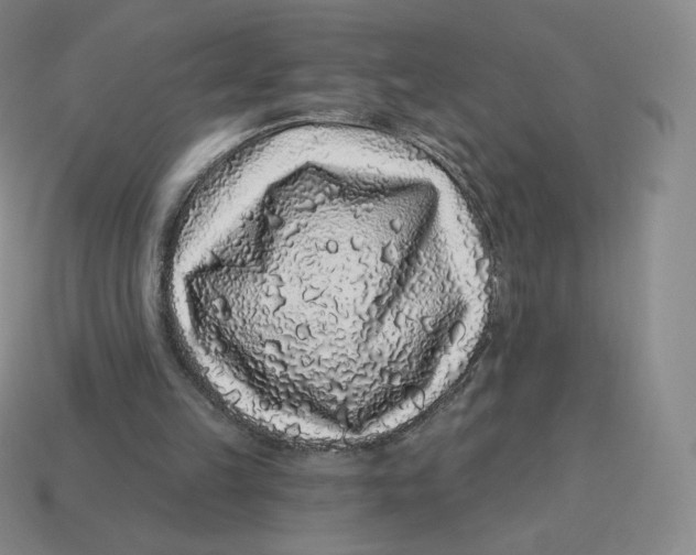 X0000114210149200911061453