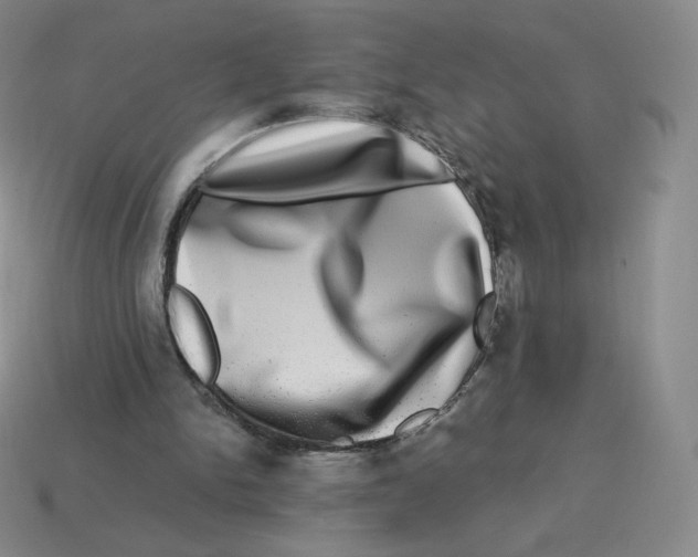 X0000114210150200911061453