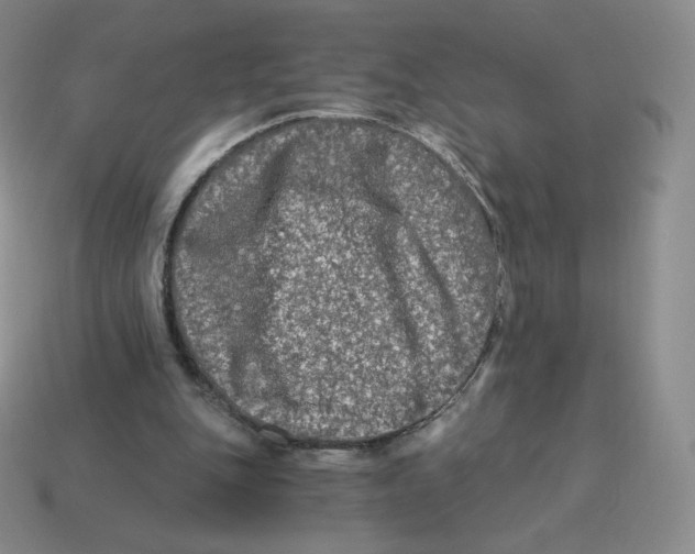 X0000114210151200911061453