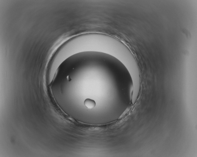 X0000114210152200911061453
