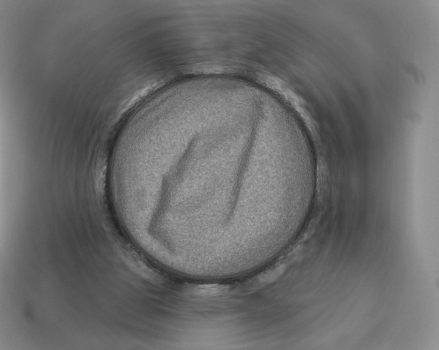 X0000114210153200911061453