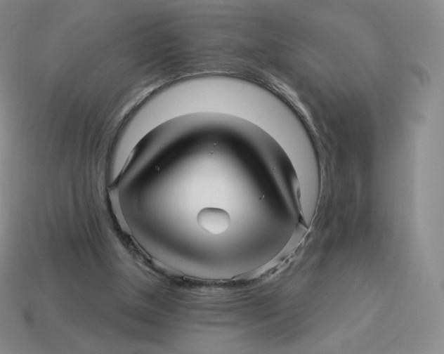 X0000114210154200911061453
