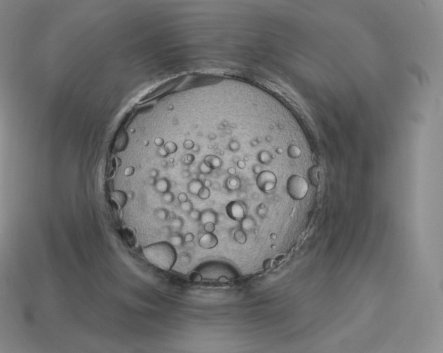X0000114210155200911061453