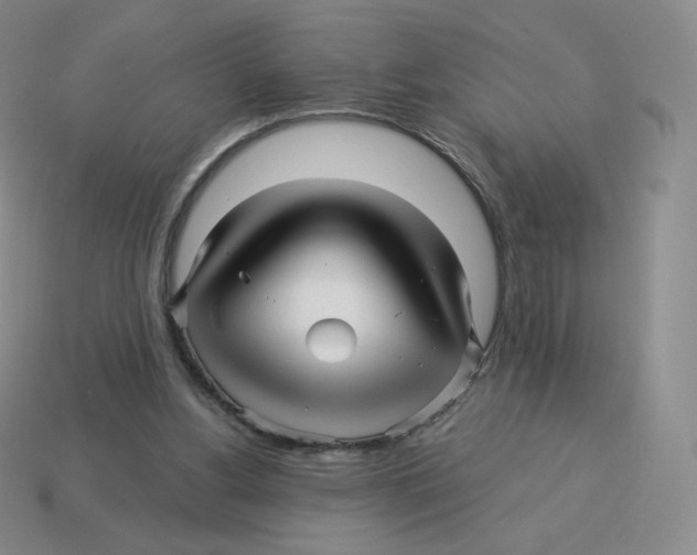 X0000114210156200911061453