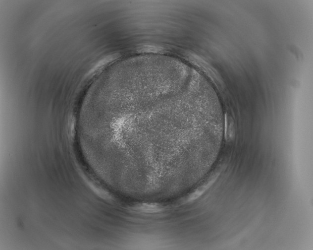 X0000114210157200911061453