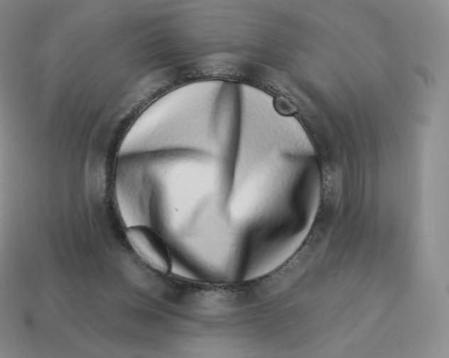 X0000114210158200911061453