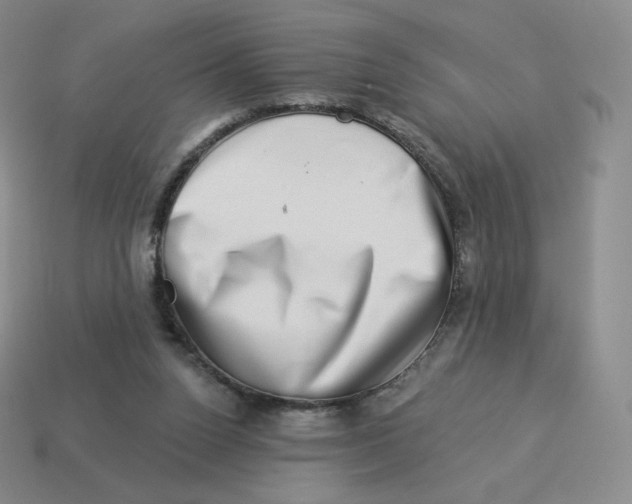 X0000114210160200911061453