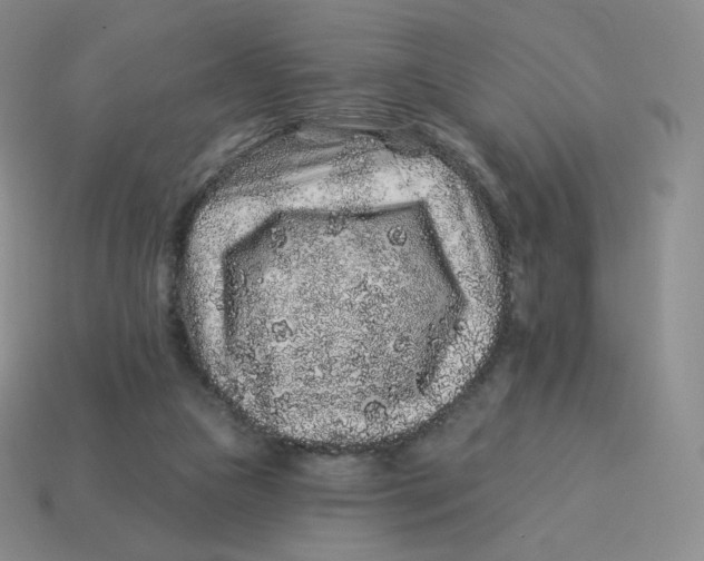 X0000114210161200911061453