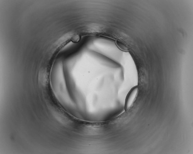 X0000114210164200911061453
