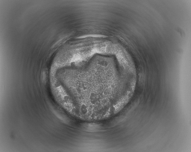 X0000114210165200911061453