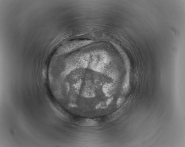 X0000114210166200911061453