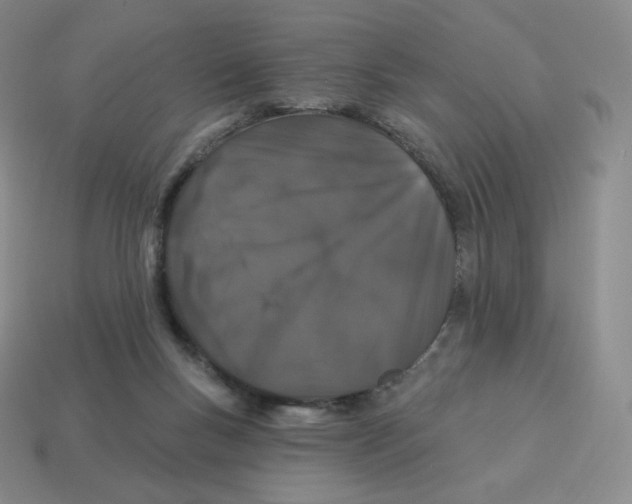 X0000114210167200911061453