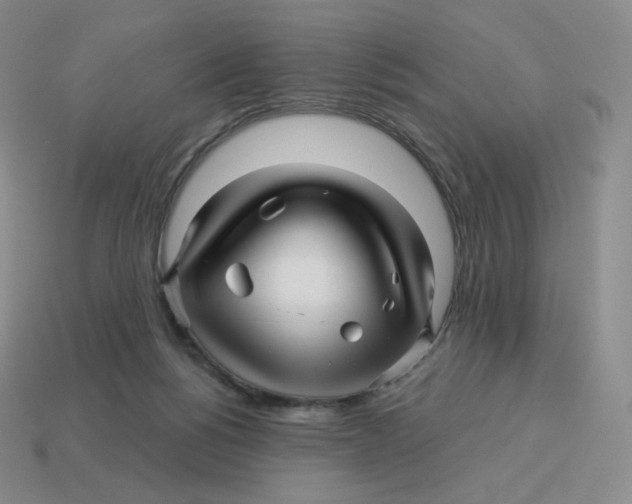 X0000114210168200911061453