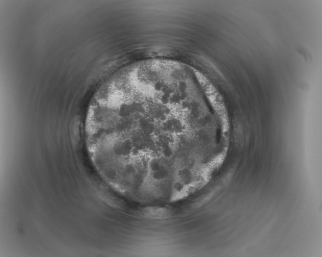 X0000114210169200911061453