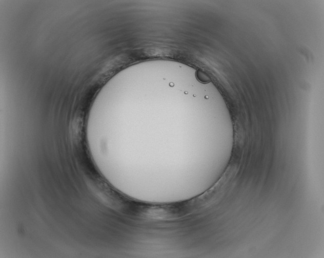 X0000114210171200911061453