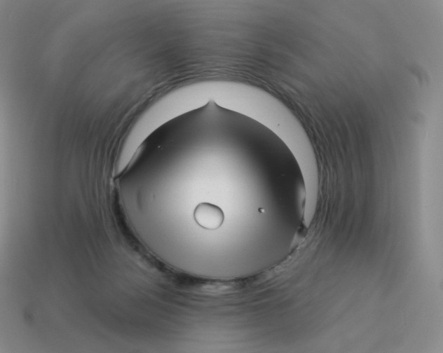 X0000114210172200911061453