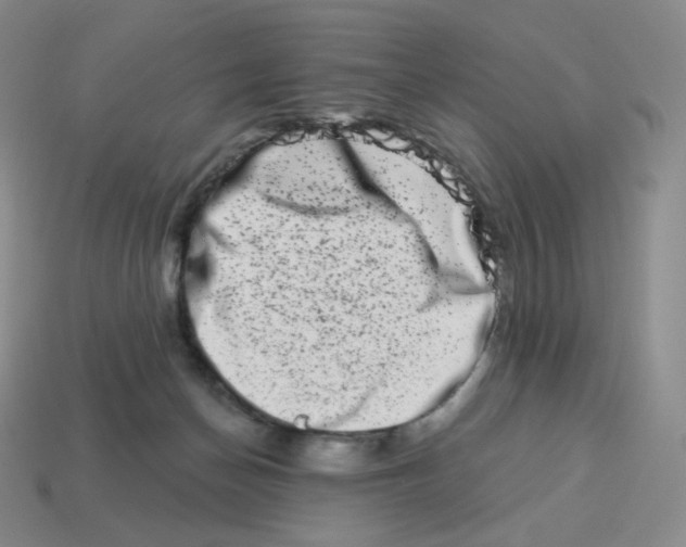X0000114210174200911061453