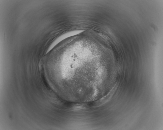 X0000114210175200911061453
