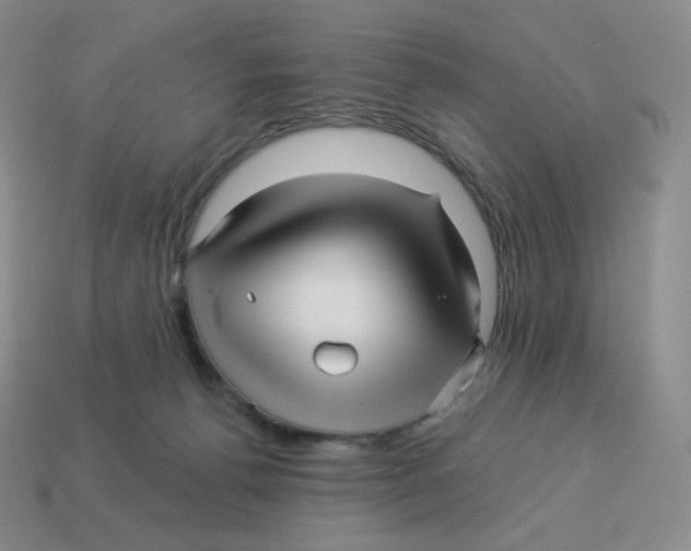 X0000114210176200911061453