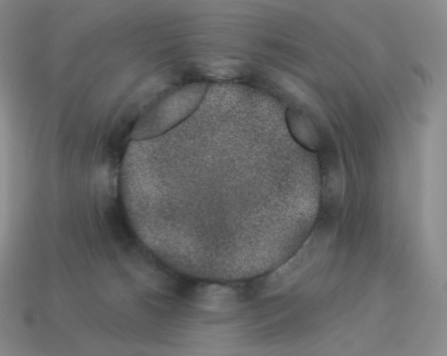 X0000114210180200911061453