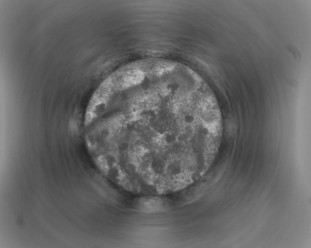 X0000114210181200911061453