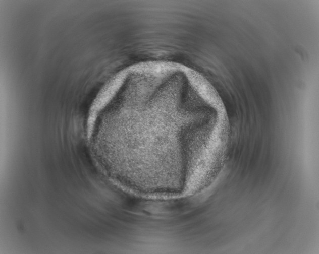 X0000114210182200911061453