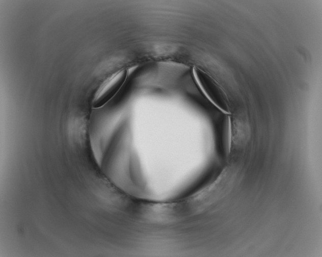 X0000114210184200911061453
