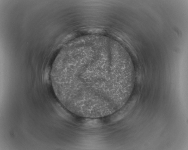 X0000114210185200911061453