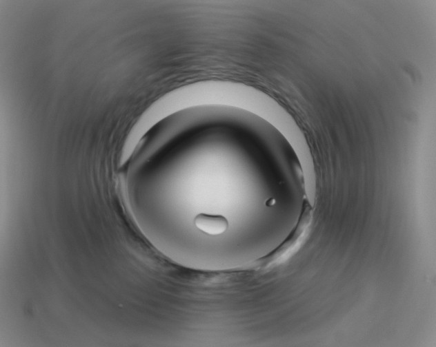 X0000114210186200911061453