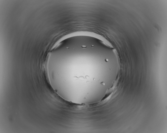 X0000114210188200911061453