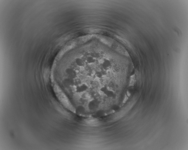 X0000114210189200911061453