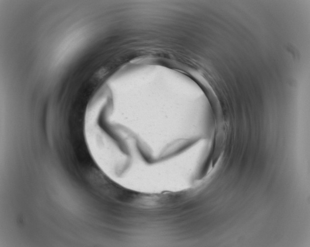 X0000114210190200911061453