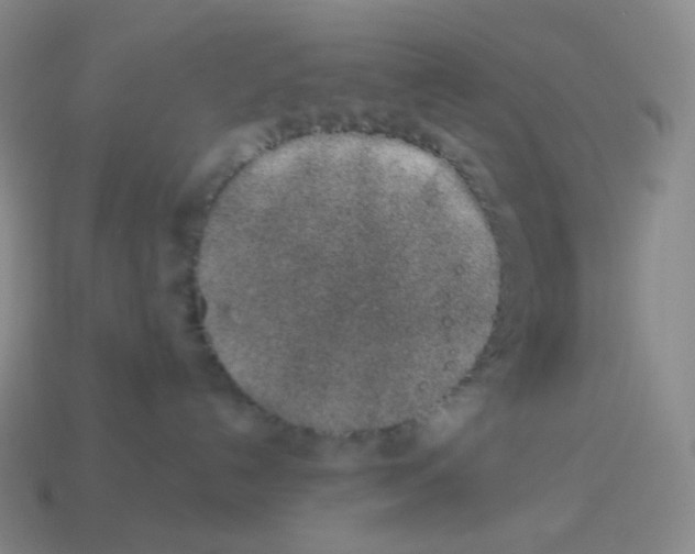 X0000114210192200911061453
