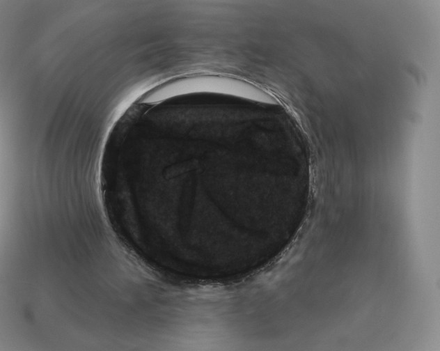 X0000114210196200911061452