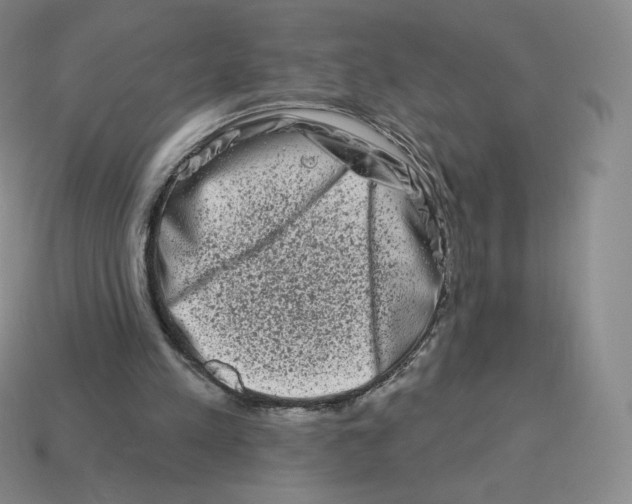 X0000114210197200911061452