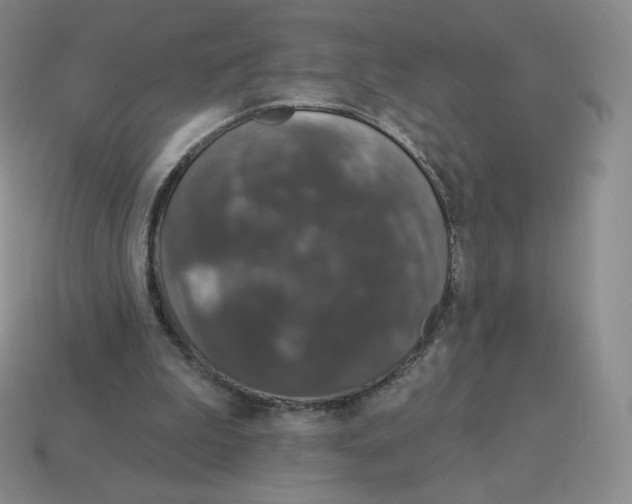 X0000114210199200911061452