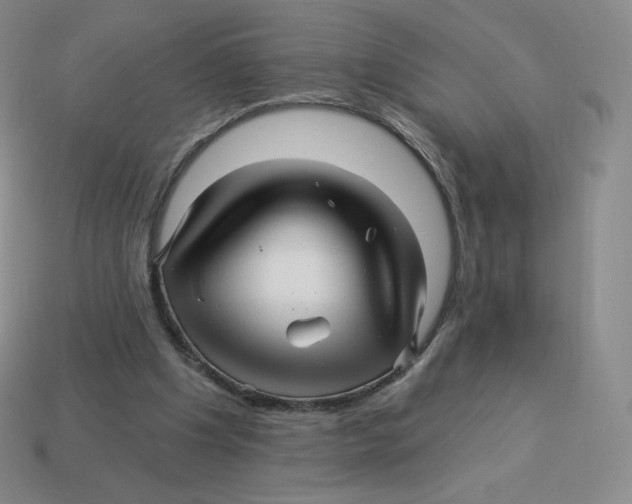 X0000114210201200911061452