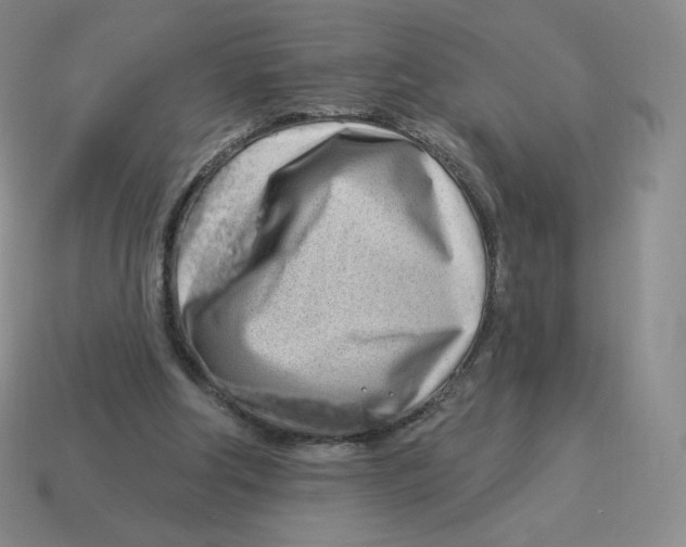 X0000114210202200911061452